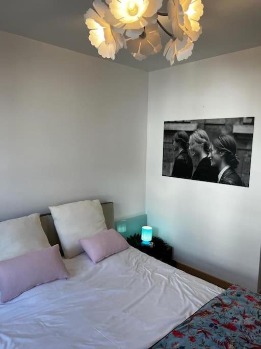Les Pyou-Pyous Apartment น็องซี ภายนอก รูปภาพ